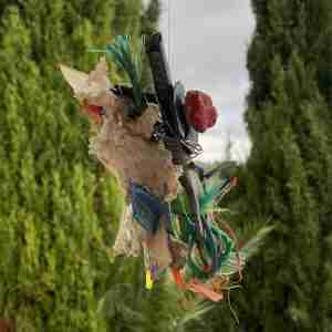 creative nature walk bundles