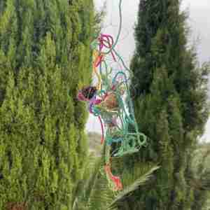 creative nature walk bundles