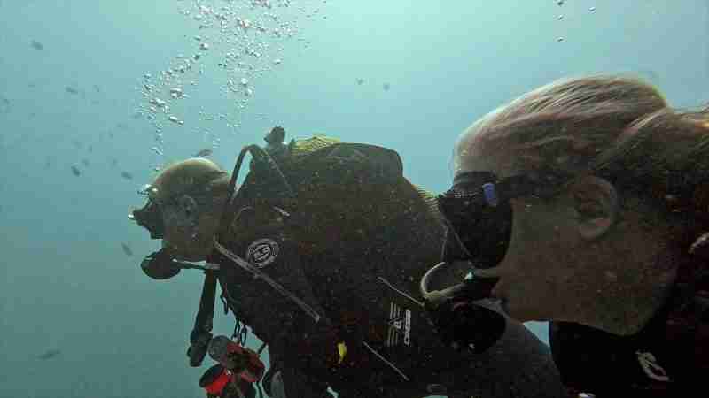 lovers dive together