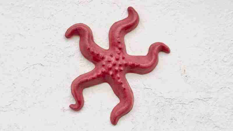 red glazed ceramic wall hanging starfish