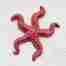red glazed ceramic wall hanging starfish