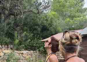 creative walk with julia clay