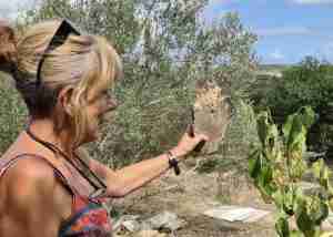 creative walk with julia clay