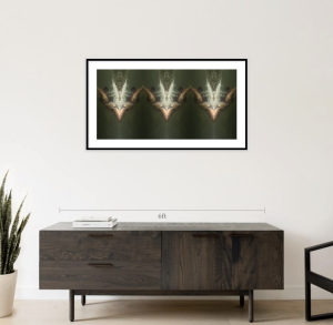 mock up of fine art print of wild swimming video art