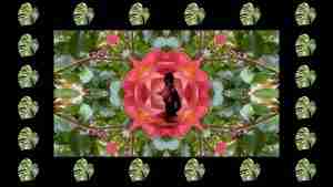video still from an artistic video of a nude in nature