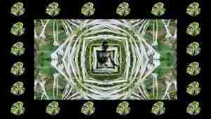 video still from an artistic video of a nude in nature