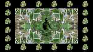 video still from an artistic video of a nude in nature