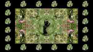 video still from an artistic video of a nude in nature
