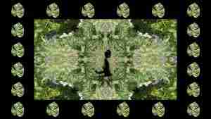 video still from an artistic video of a nude in nature