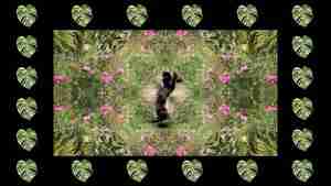 video still from an artistic video of a nude in nature