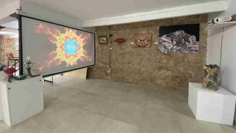 Shimmy gallery Barcelona