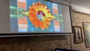 Visuals by Miss Plunkett